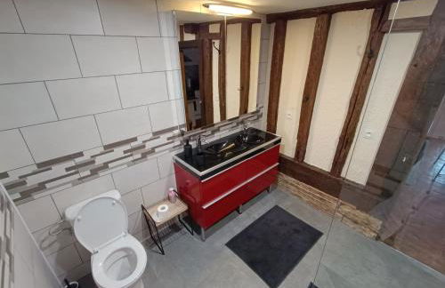 LE GRUON DU LAC - Foto 10