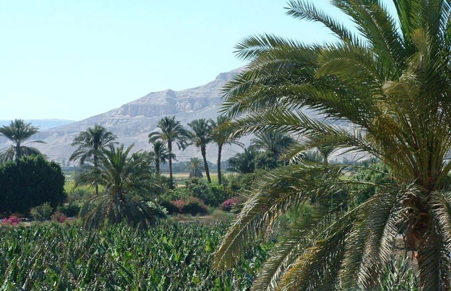 Home Sweet Home Luxor Apartments - Foto 12