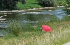 Fowo- Mangfalltal Italy Stopover near Motorway - Foto 58