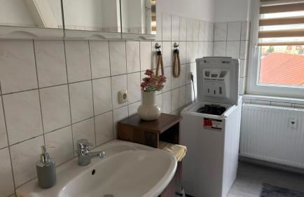 Wohnung nahe Bahnhof und dem Goitzschesee - Foto 8