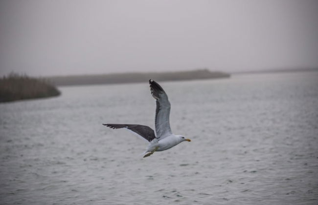 L'Ermitage Quagga Lodge - Photo 15