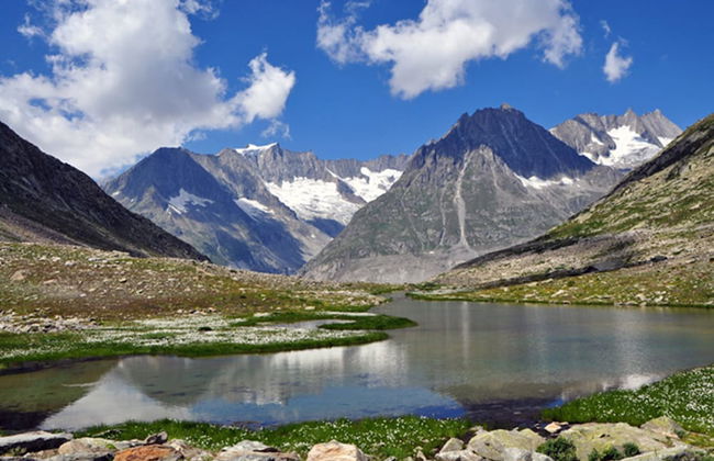 Tio Pepe OG - Foto 26