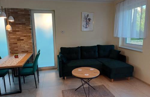 Willa Przygoda - Photo 69