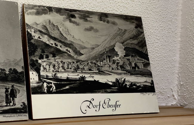 Katzerhaus Ebensee - Foto 49