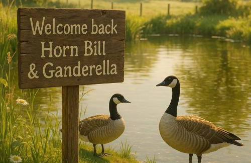 The Hornbill at Home Farm Shropshire - Foto 32