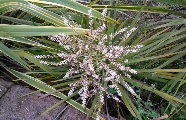 Agriturismo Bassarì - Photo 37