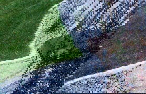 Ferienwohnungen Hochschwarzwald - Photo 38