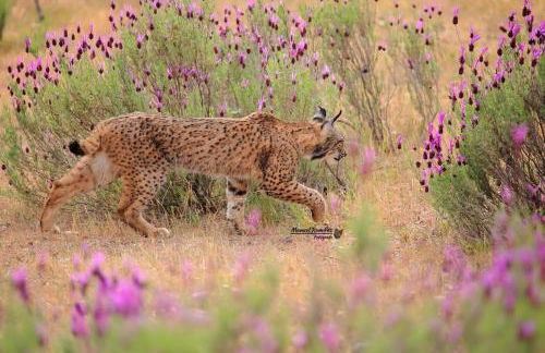 Mirador La Villa de Laura - Foto 80