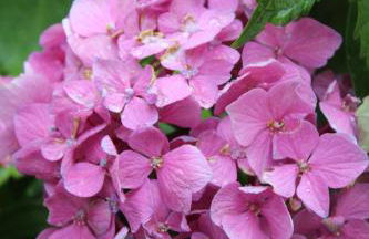 Stresa Complex LevOasi - Foto 69