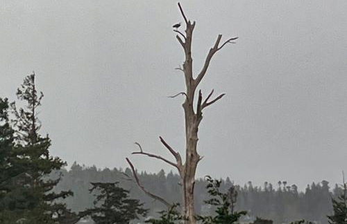 Hot Tub and Mtn Views Lummi Island Home Near Beach - Foto 34