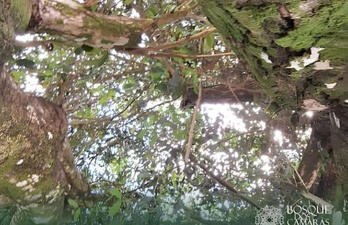 Flat Térreo com Jardim Privativo - Foto 37