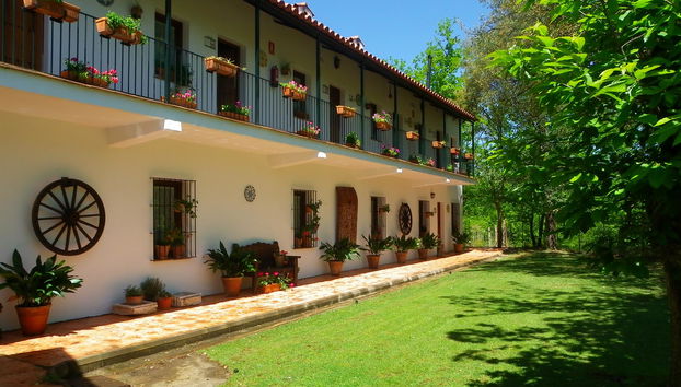 Finca la Media Legua - Foto 2