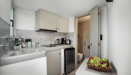 Firistefana Apartment - Foto 4, stove