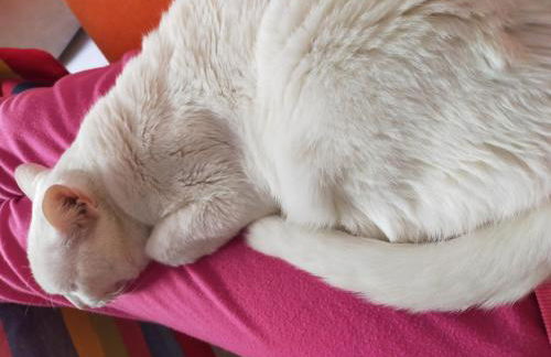 Es HABITACION en piso compartido! - Foto 9