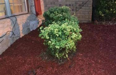 #2BR Cozy Villa - Mins to Historic STM Amusement Park! - Foto 24