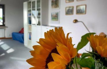 Cosy Apartments mit Traumblick - Photo 8