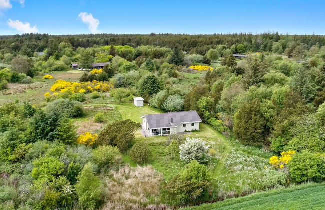 "Aameek" - 3km from the sea - Foto 5