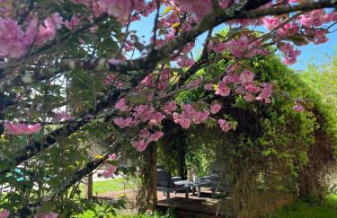 La Colline de Tilleul - Les Tilleuls - 4 STAR RATED - stunning cottage with pool near Aubeterre in idyllic location - Foto 37