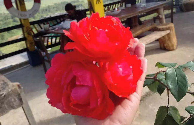 FAERA HOSTEL - Photo 8