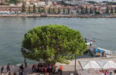 Porto River - Foto 8