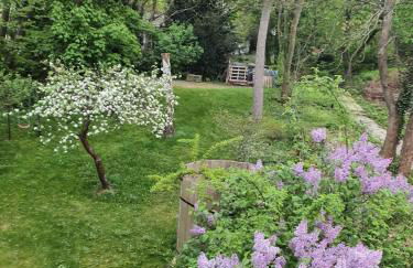 Grüne Wohlfühloase in einer Stadtvilla - Foto 7