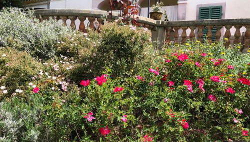 Villa Baronzola - Foto 4, Garden, Garden view