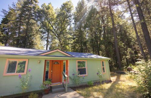 Saltwater Hot Tub, Forest Retreat, Minutes to Town - Foto 6