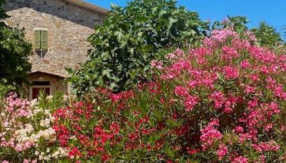 Podere Ainzara - Foto 5