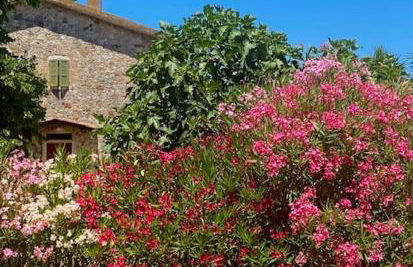 Podere Ainzara - Foto 5