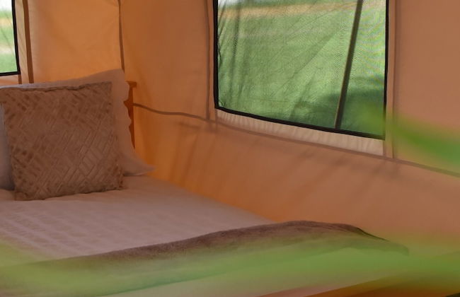 Bell Tent Village - Photo 18