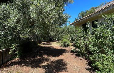 Domo Austinu - Abbasanta - Foto 18