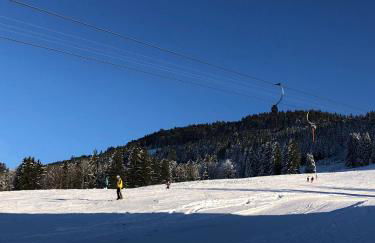 Ferienwohnung Aigisblick mit Pool und Sauna, direkt am Skihang - Foto 21