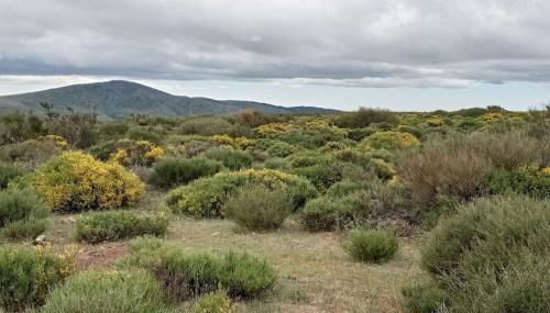 Casa Rural Dunas - Foto 4