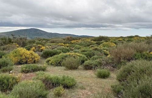 Casa Rural Dunas - Foto 4