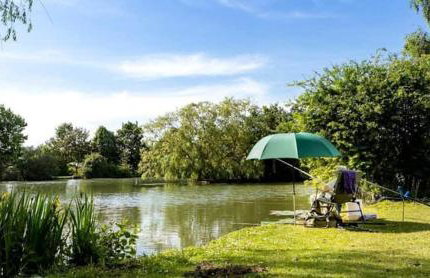 Marie Helene, 58 Mallard Carlton Meres Holiday Park - Foto 25