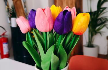 Appartamento Brufani - Foto 22