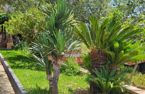 Case Vacanze Macchione - Foto 51