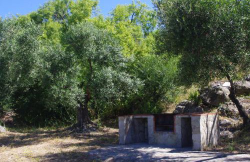 Finca Barreras - Photo 6