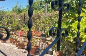 La Finestra sul Velino, uno splendore da vivere - Foto 5