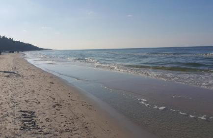 Magico Posto - Foto 61