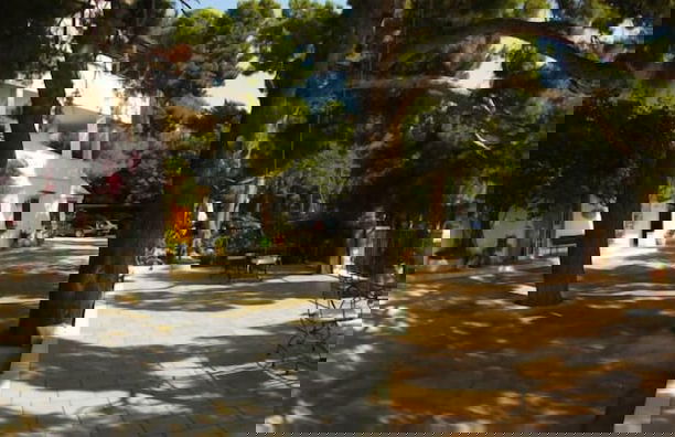 Residenza Collina dei Pini - Foto 52