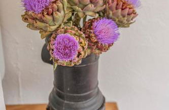 Casa Magnolia - Foto 48