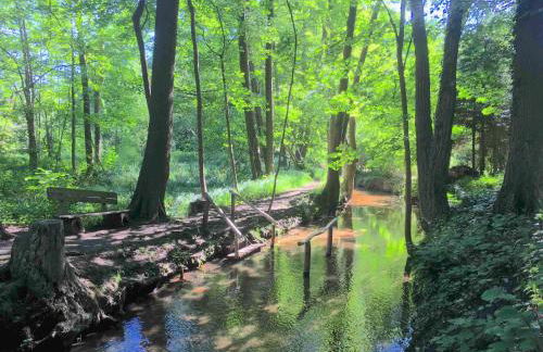 Gartenhaus mit Sauna am Buckowsee, Märkische Schweiz - Foto 13