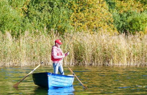 Pet Friendly Apartment - Foto 15