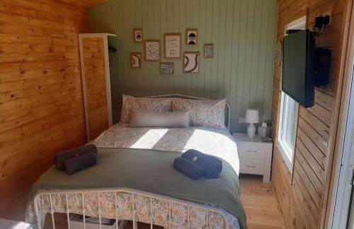 Anglesey new modern shepherds hut with spa hot tub - Foto 31