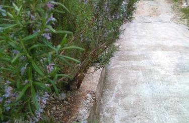 Apartments Vesela - Comfort One Bedroom Apartment With Balcony and Sea View - Foto 17