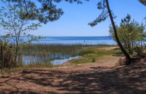 Maison des fleurs d'Ajoncs - Photo 26