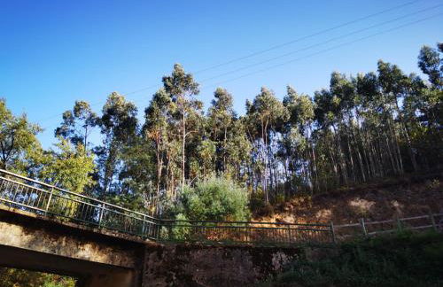 CASA DA `VÓ MICAS - Foto 23