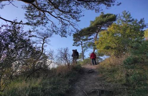 Wohnung in Lütow nahe Ostseestrand - Foto 25