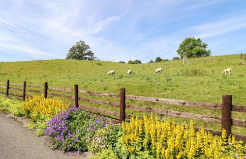 Bryn Bras - Photo 32